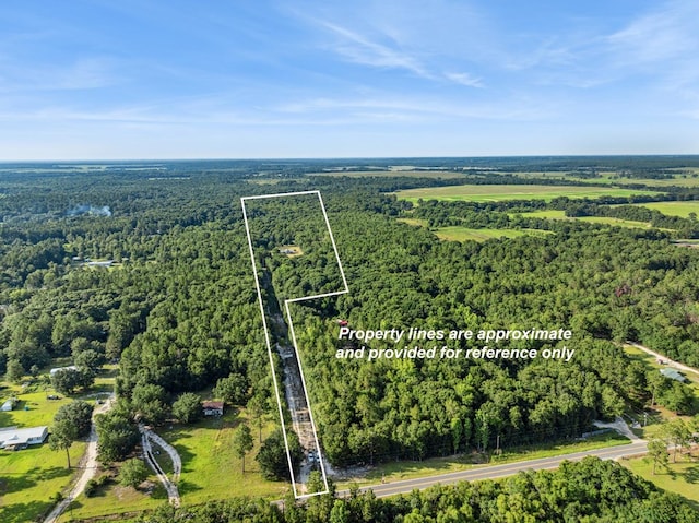 712 Blackberry Rd, Baconton, GA 31716 - photo 6