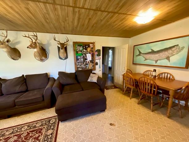 2550 Bay St, Coleman, GA 39836 - living area with light carpet and wood ceiling