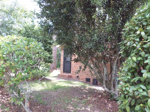 701 Collier St, Bainbridge, GA 39819 - view of yard