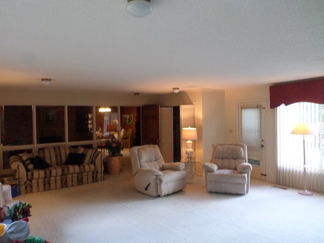 701 Collier St, Bainbridge, GA 39819 - living area with carpet floors