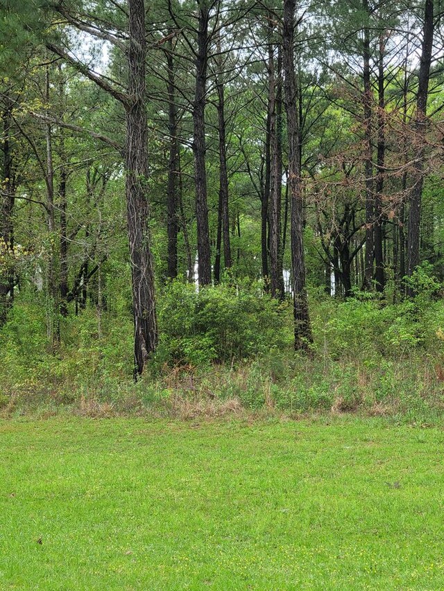 Listing photo 3 for LOT4 Mountain Vw Lot 4/Blk, Bainbridge GA 39819