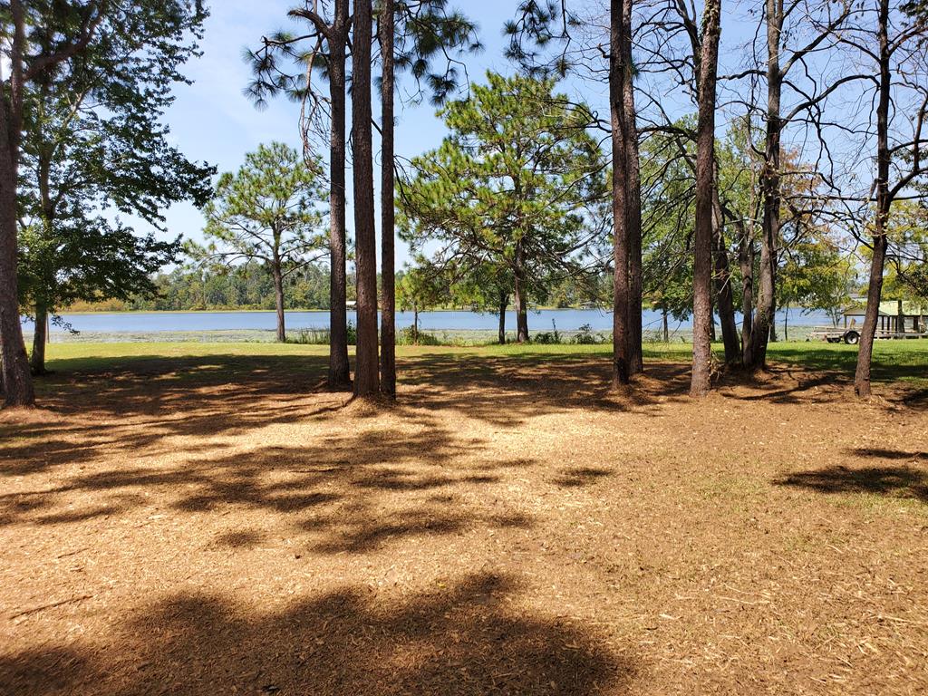 LOT1060 Malone Drive Loop Unit 1060, Donalsonville, GA 39845