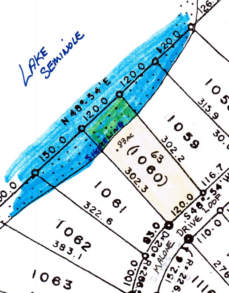 LOT1060 Malone Drive Loop Unit 1060, Donalsonville, GA 39845