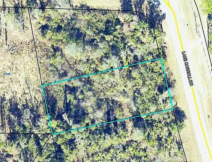 0000 Lake Carroll Dr Unit Lc-60, Donalsonville, GA 39845