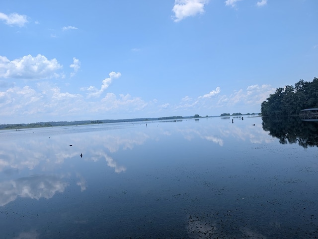 2395 Seminole Shores Rd, Donalsonville, GA 39845 - photo 6