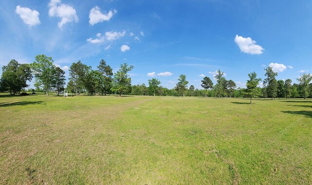 414 Barrineau Rd, Whigham, GA 39897
