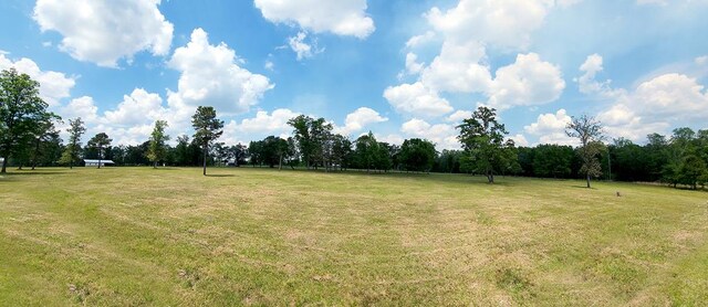 414 Barrineau Rd, Whigham, GA 39897