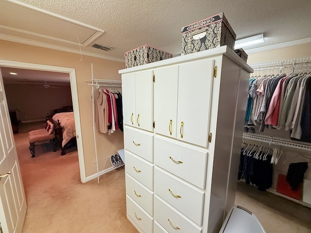 walk in closet featuring attic access, visible vents, and light carpet