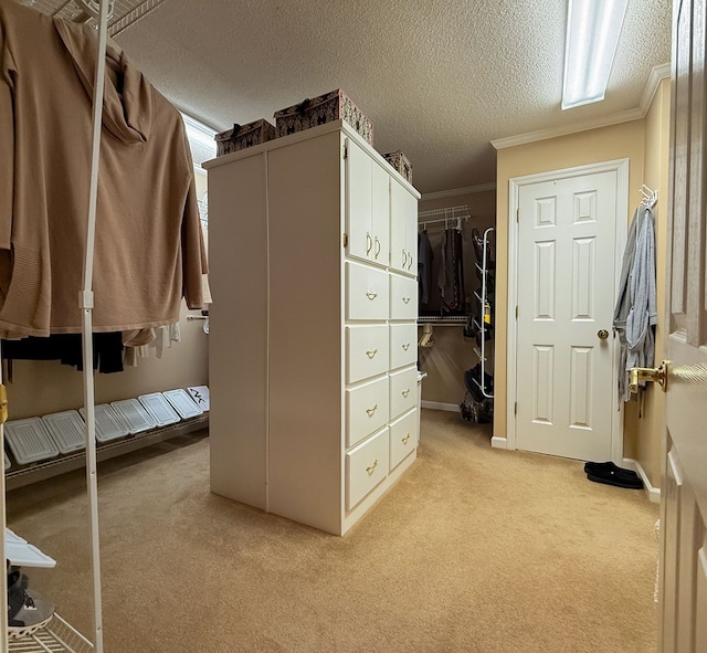 spacious closet with light carpet