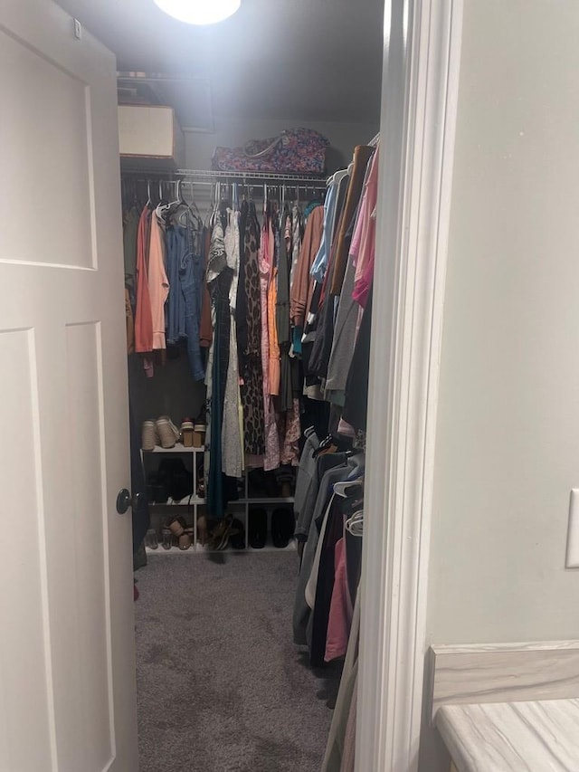 walk in closet with carpet flooring