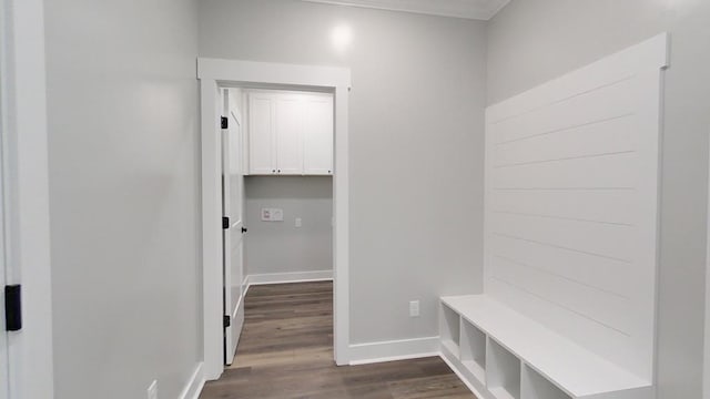 mudroom featuring dark hardwood / wood-style flooring