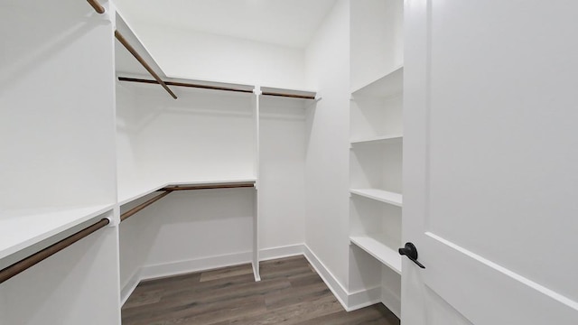 walk in closet with dark hardwood / wood-style floors