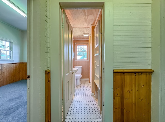 bathroom featuring toilet and wooden walls