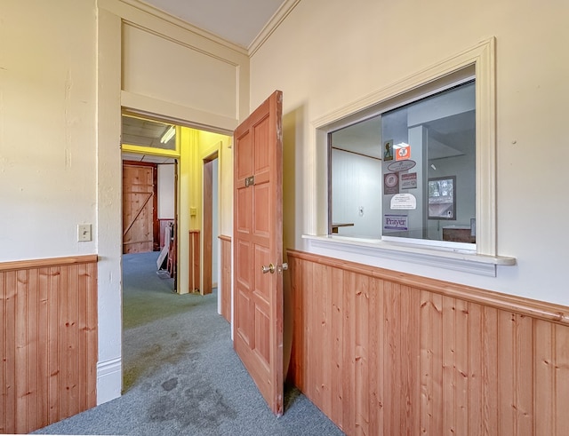 hall with carpet, ornamental molding, and wooden walls