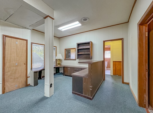 office space with a textured ceiling, crown molding, light carpet, and a wealth of natural light