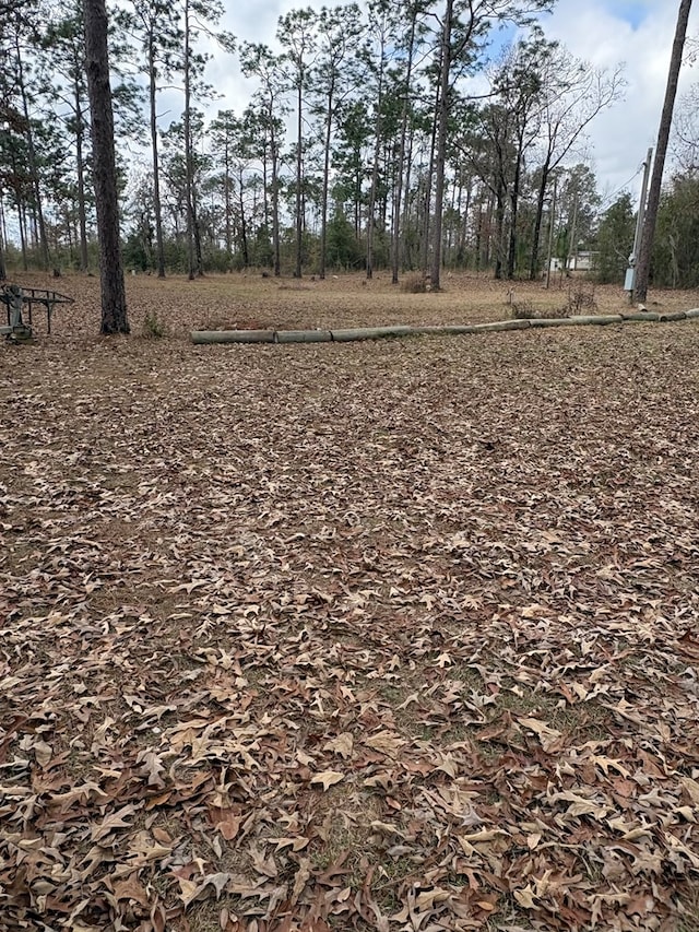 8153 Hill Dr Unit 853, Donalsonville, GA 39845 - photo 5