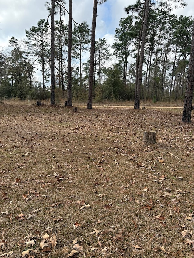 8153 Hill Dr Unit 853, Donalsonville, GA 39845 - photo 4