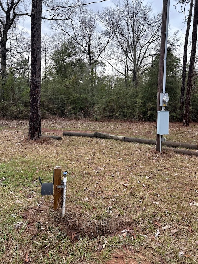 8153 Hill Dr Unit 853, Donalsonville, GA 39845 - photo 2