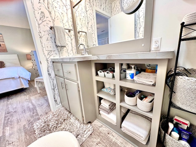 bathroom featuring wood-type flooring and vanity