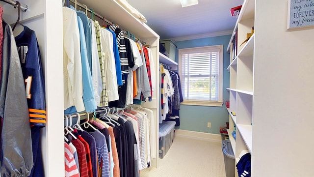 1389 Lake Front Dr, Cairo, GA 39828 - walk in closet featuring carpet