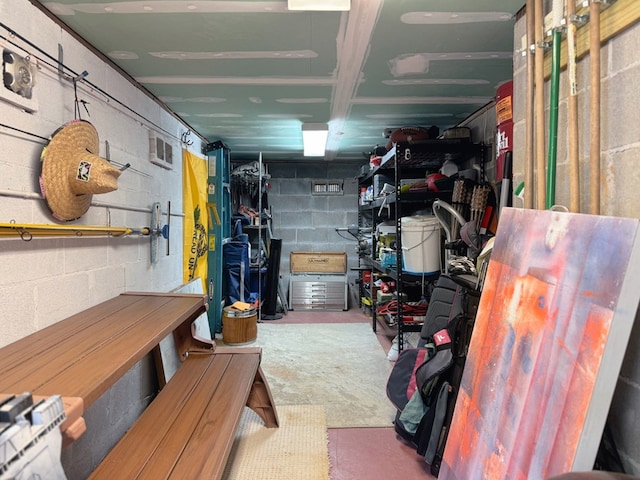 1389 Lake Front Dr, Cairo, GA 39828 - storage area with a garage