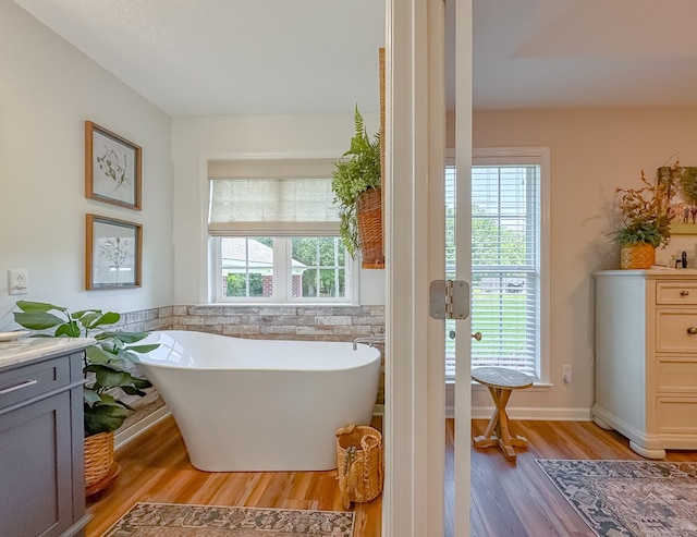1415 College Rd, Bainbridge, GA 39819 - bathroom featuring wood finished floors, vanity, and a freestanding bath