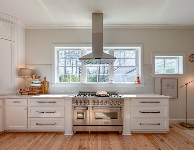 2579 Lake Douglas Rd, Bainbridge, GA 39819 - kitchen with light countertops, light wood-type flooring, island exhaust hood, backsplash, and range with two ovens