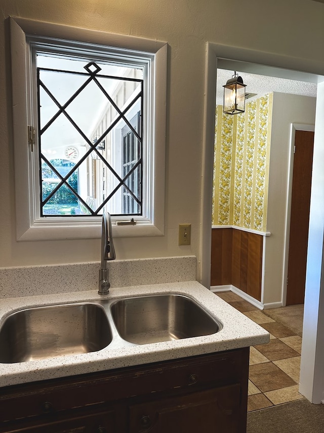 room details with dark brown cabinets and sink