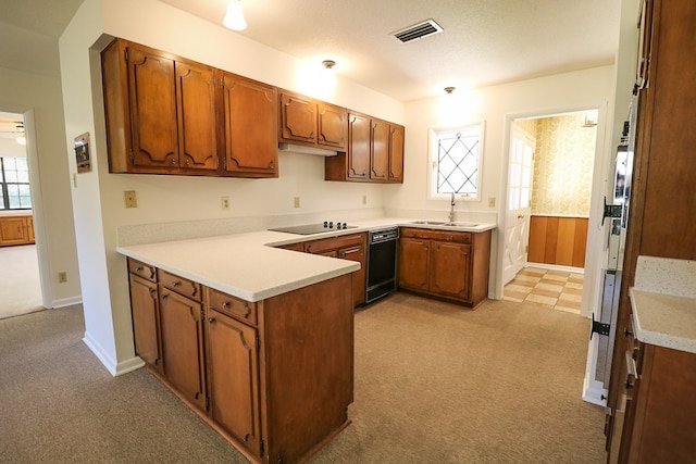 kitchen with black electric stovetop, plenty of natural light, sink, and light carpet