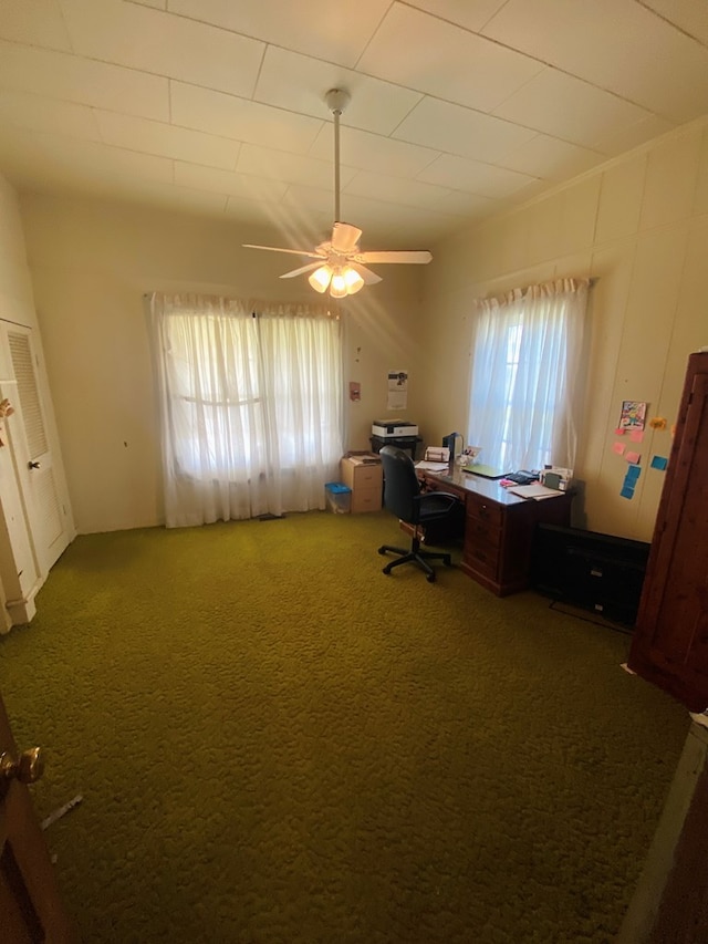 416 George Sasser Ln, Arlington, GA 39813 - photo 18