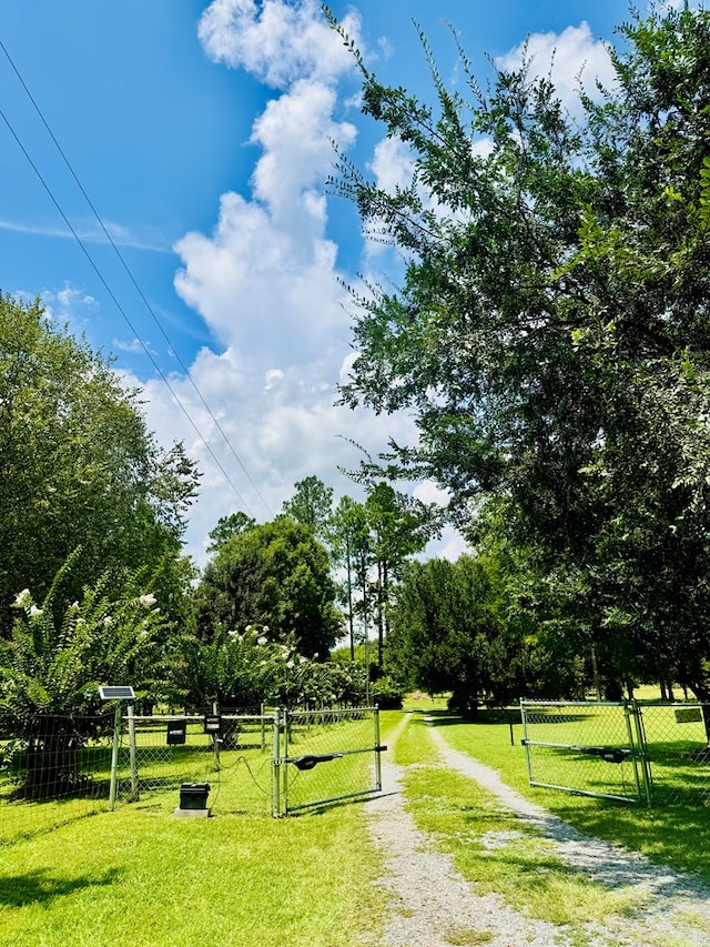 view of community with a lawn