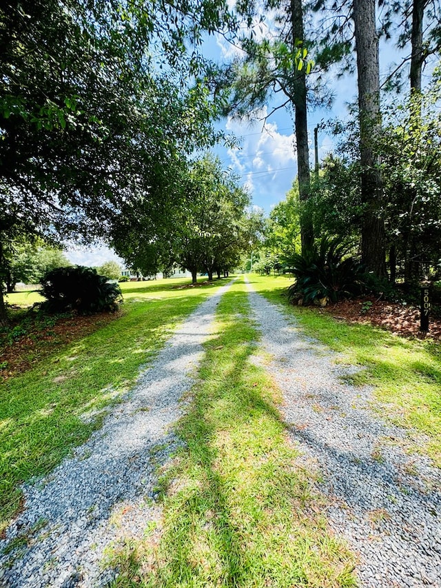 view of road