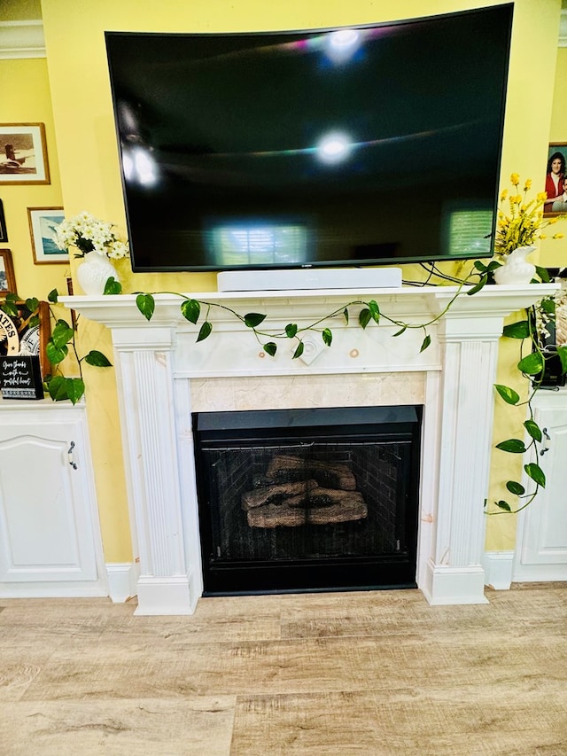 interior details with wood-type flooring and a premium fireplace