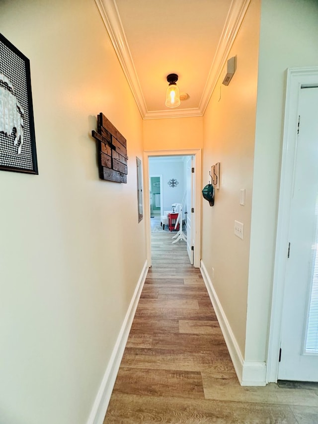 hall featuring light wood-type flooring and crown molding