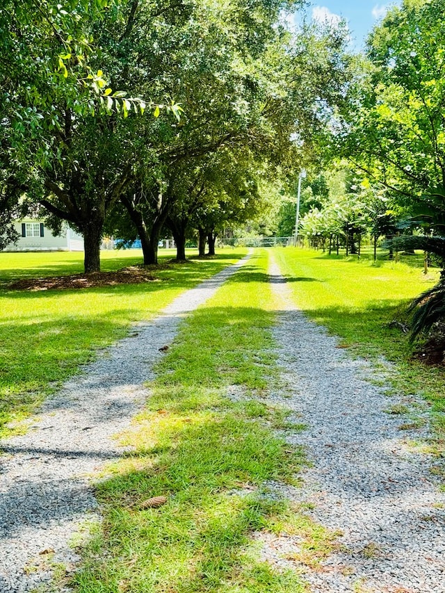 view of surrounding community