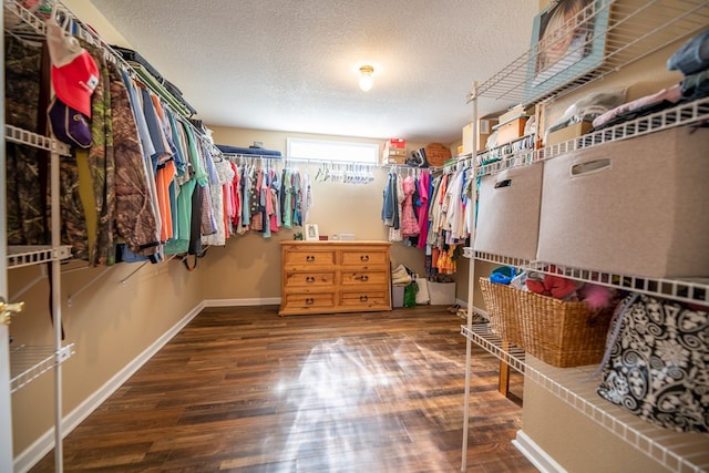 186 Turtle Pond Rd, Bainbridge, GA 39817 - walk in closet with wood finished floors