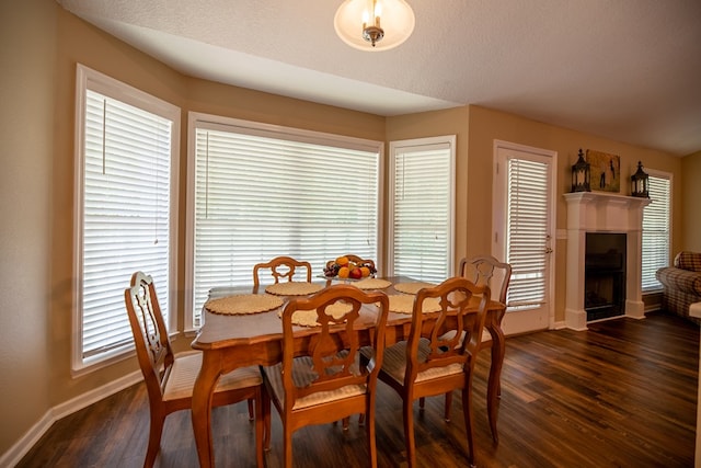 186 Turtle Pond Rd, Bainbridge, GA 39817 - dining area featuring dark wood finished floors, a fireplace, and healthy amount of natural light