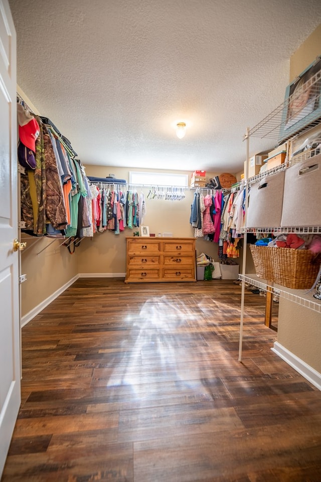 186 Turtle Pond Rd, Bainbridge, GA 39817 - walk in closet with wood finished floors