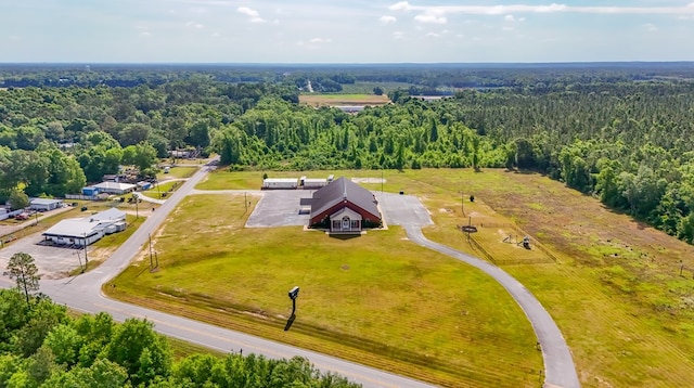 1101 Faceville Hwy, Bainbridge, GA 39819 - drone / aerial view of a forest
