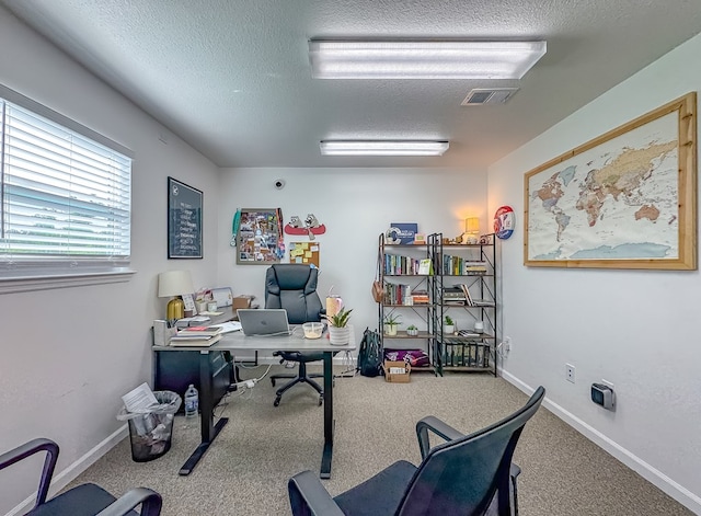 1101 Faceville Hwy, Bainbridge, GA 39819 - home office featuring a textured ceiling, carpet, and baseboards