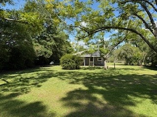 7942 Harvel Dr, Donalsonville, GA 39845 - photo 14