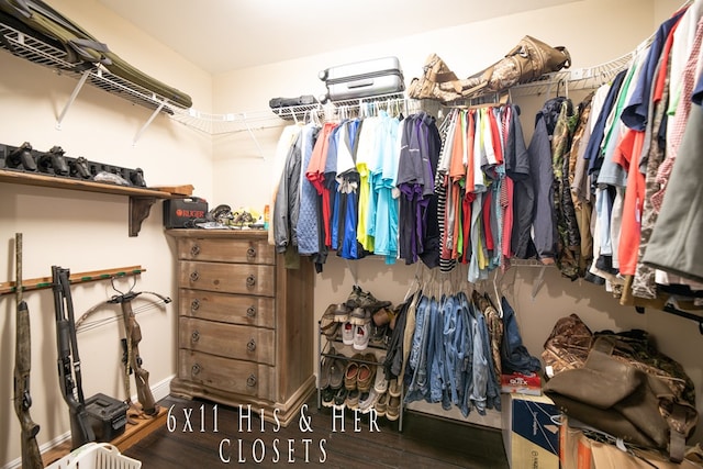 spacious closet with hardwood / wood-style flooring