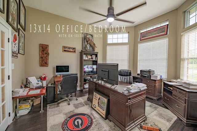 office space featuring hardwood / wood-style flooring and ceiling fan