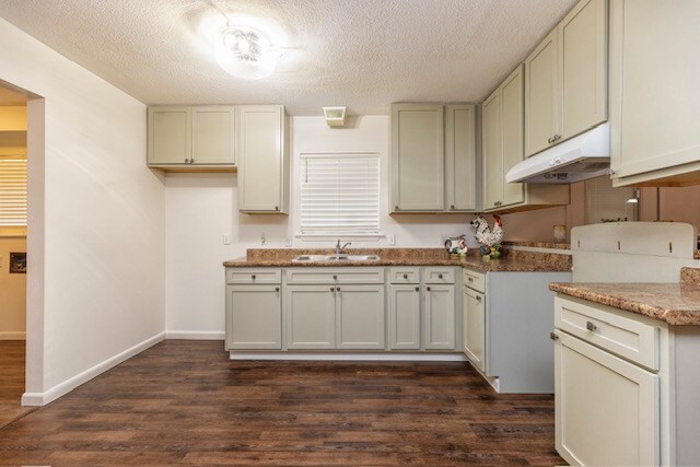401 Simms St, Bainbridge, GA 39819 - kitchen featuring under cabinet range hood, a sink, dark wood-style floors, a textured ceiling, and baseboards