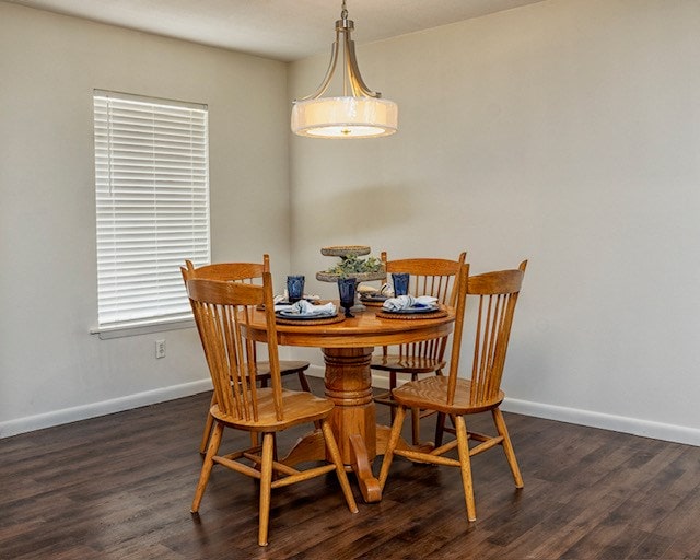 dining room featuring dark hardwood / wood-style floors