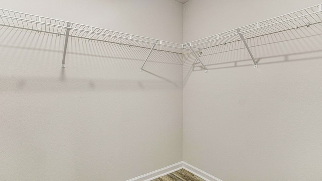 spacious closet featuring wood-type flooring