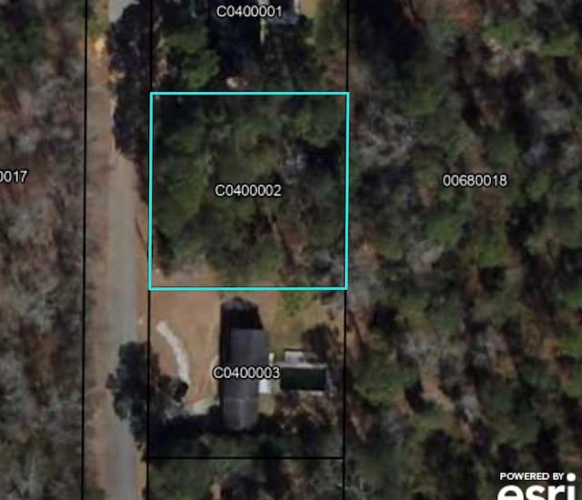 000 Loblolly Ln NE, Cairo GA, 39828 land for sale