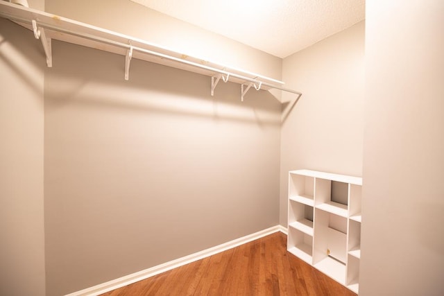 walk in closet featuring hardwood / wood-style flooring