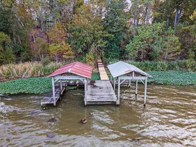 dock area featuring a water view