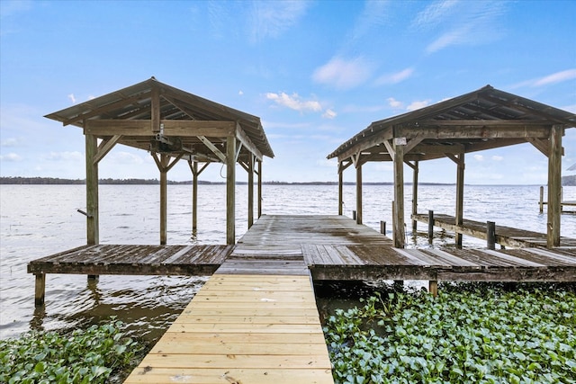 dock area with a water view